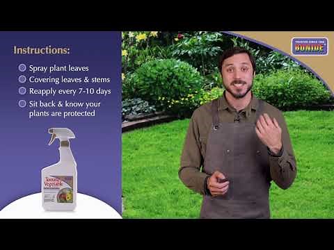 Bonide Tomato and Vegetable Ready-To-Use