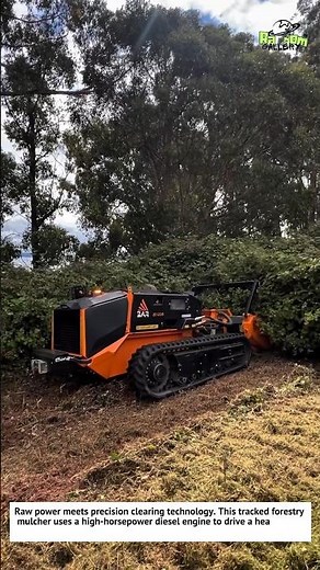 Extreme Forestry Mulcher Machine! Crushing Trees in Seconds!