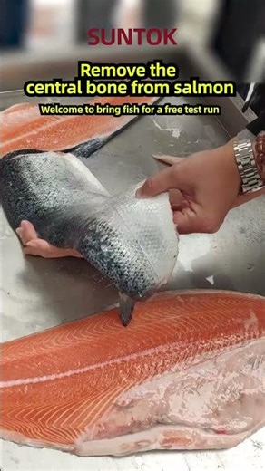 Fish Fillet Machine for Salmon