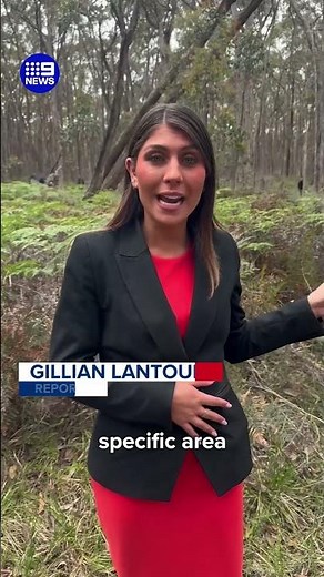 New search for missing mum Samantha Murphy | 9 News Australia