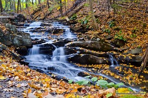 Falling Waters Preserve | Hike the Hudson Valley