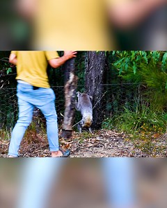 874K views · 10K reactions | Bless people who step in to help when they can  | We Love Animals | Facebook