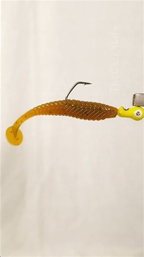 The Perfect 2.4" Jig Rig for Huge Perch and Zander! 💥