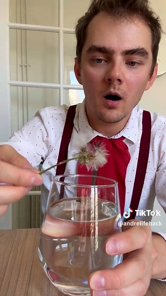 Unveiling a Clever Life Hack Video: The Truth Revealed