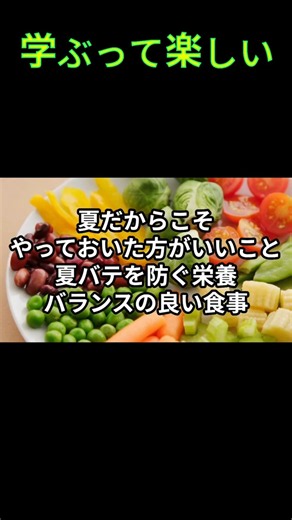 夏だからこそやっておいた方がいいこと 夏バテを防ぐ栄養バランスの良い食事