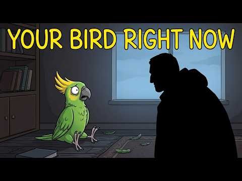 This Is What Your Pet Bird Does When You Leave The House...