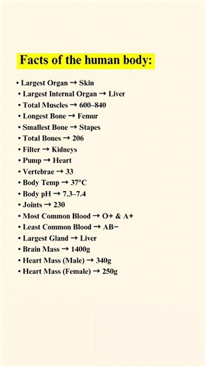 The Human Body: Hidden Secrets You Never Knew! #success #motivation #psychology #shorts #viral