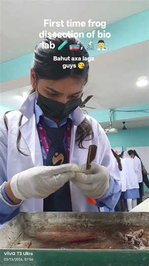 first time frog dissection of bio lab 🧪🧫🧫, 🔬, 👨‍🔬 #bahut AXA laga guys 🫟🥳 # my study, #minivlog
