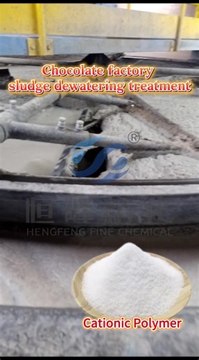 Treat chocolate wastewater the smart way. Cationic PAM delivers fast flocculation, clear effluent & lower sludge moisture. Perfect for food & chocolate manufacturing wastewater treatment.#HENGFENG #Polyacrylamide #flocculant #SludgeDewateringAgent #wastewatertreatment