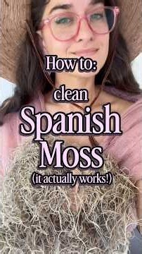 Clearing Bugs from Spanish Moss Without Ruining It! 🐛