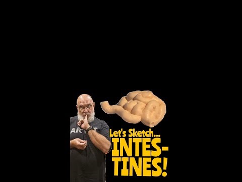 280 Days Strong: Today, I'm Sketching Small Intestines!