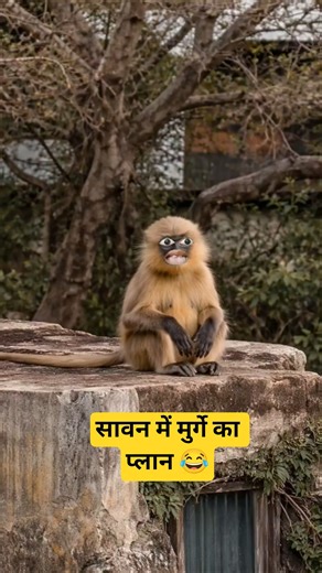 सावन में मुर्गा के प्लान 🐓😜 #shorts #funny #viral #comedy #shortvideos #thetharpuns