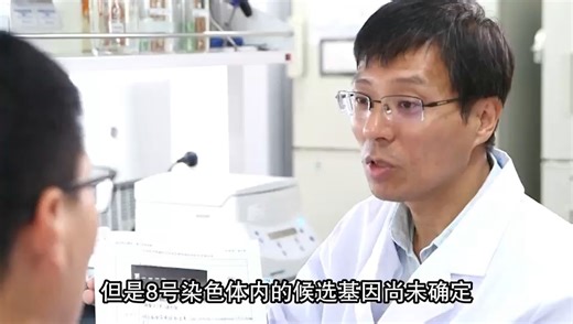 aBIOTECH | 田志喜团队发现大豆正调控抗旱新基因GmACO1