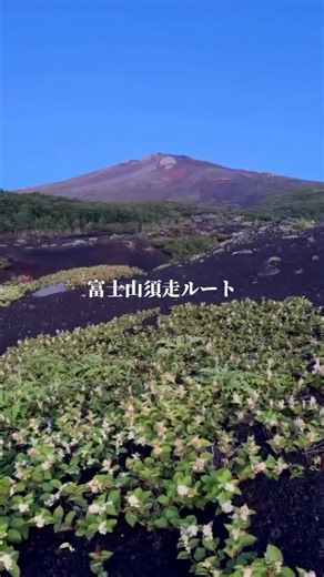 富士山須走ルートの山小屋さんから、夜明けの動画が届きました！ ここは、標高約2300m。頂上からでなくても、こんなに幻想的な景色が眺められます😌 頂上を目指さない富士山の自然をのんびりと感じながらの登山もおすすめ😉 今年の富士登山シーズンは9月10日まで。 体調を整えて、しっかりと登山装備を準備してお出かけください！ video by @fieldnow3 #富士登山 #須走ルート #砂払い五合目吉野屋 #しずおか観光 #静岡県観光 #静岡観光 | 静岡県観光協会