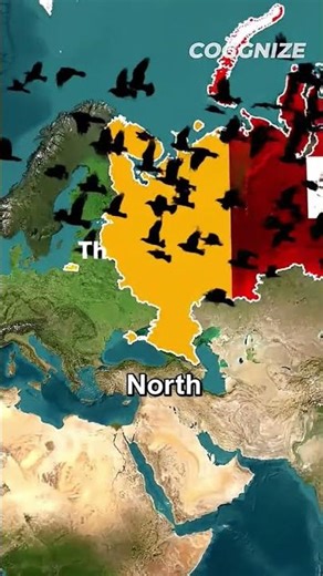 Russia #map #history #geography #europe #mapping #electronicmusic#producer #music #musician#newmusic