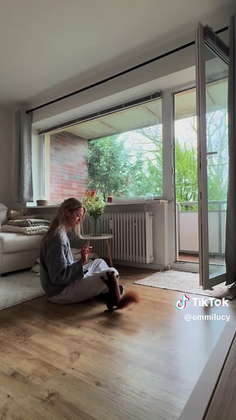 Eichhörnchen Pascal: Der süßeste Mitbewohner