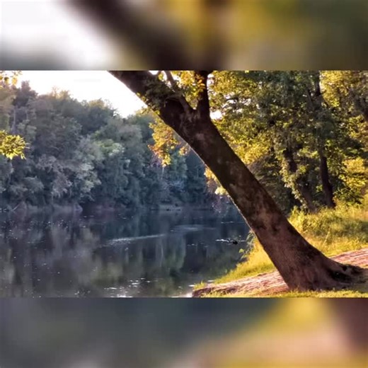 RedBisa on Instagram: "No music, just the sound of the symphony of the two General Electric T700-GE-701 turboshaft engines. Power (per engine) 1,690 hp (1,260 kW) of the AH-64D Apache Longbow. #ah64apachelongbow #militaryaircraft #helicooters #lowflight"