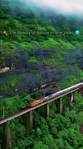 🍂 The Beauty of Nature in One Video 🌎#Nature 🌿#NatureLovers 🍃#NatureVibes 🌎#BeautifulNature