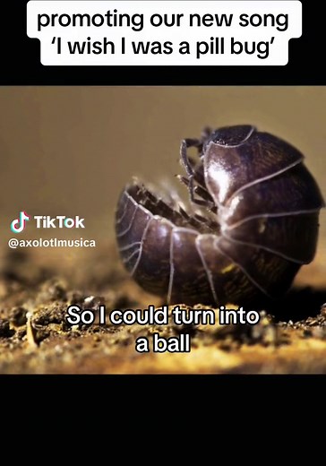 A Tiny Ball of Isolation: Promoting our New Song