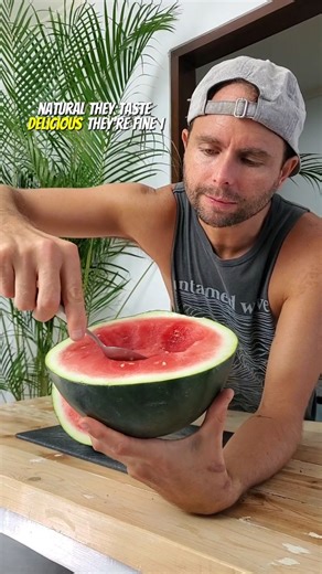 🍉🍉 Seedless watermelon = cross pollinated hybrid. NOT GMO. Don't get me wrong, BILL Gaytes is a turd, but these watermelons are not grown in a lab. Just wanted to clarify 🍉🍉 | Jeff Juices