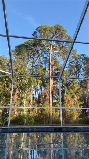 Becky Bee Social on Reels