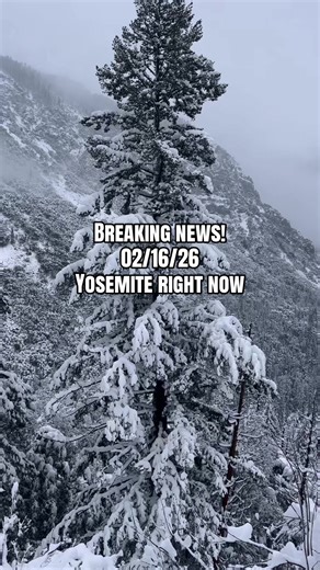 2-Day Winter Itinerary for Yosemite National Park