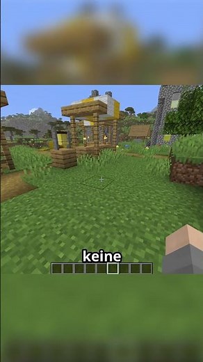 NEUES F3 Menü + Spawn Chunks entfernt + NEUE Pferderüstung | Minecraft Update Java Snapshot