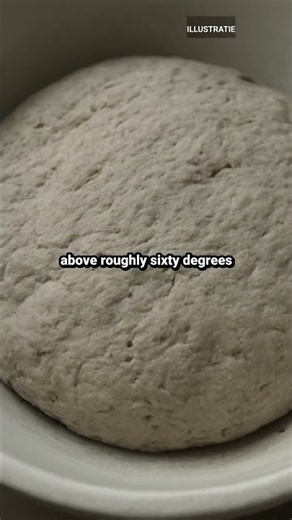 why doesn't my bread dough rise? | Everyday Mystery