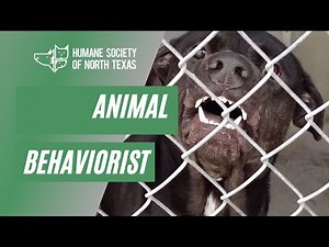 Barrier Aggression in Dogs - Animal Behaviorist