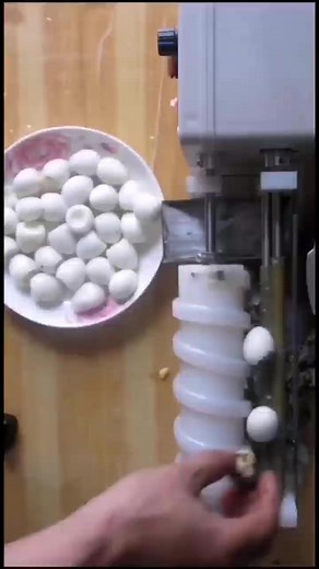 Automatic quail egg peeling | Twitter: @engplatform | Mechanical And Electrical Engineering