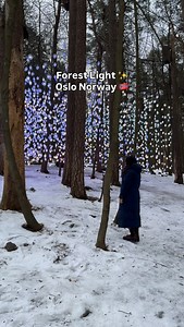 Dancing lights like fireflies in the Oslo forest ✨🌲 Where nature meets magic, and the night comes alive. #Oslo #Norway #LightArt #ForestLights #FireflyVibes ArtInstallation | Colors of Norway