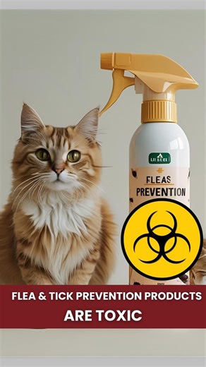What to do about fleas and ticks? It's a tricky one for sure. The best place to start is to be informed- don't just buy the first thing you see at the pet shop and hope for the best. I help animals all over the world heal and be well happy with holistic veterinary care, kind training, and energy healing. If you want me to help your pets, message me! Zoom and in person appts available. #thehealingvet #wholeenergybodybalance #dredward #holisticvet #petwellness #happypets #petlife #kindtraining #pe