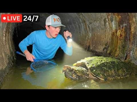 Bass fishing Productions LIVE: Stream Highlights | April Week 3