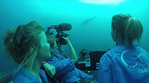 943K views · 3.3K shares | Go on the job with marine conservationists...