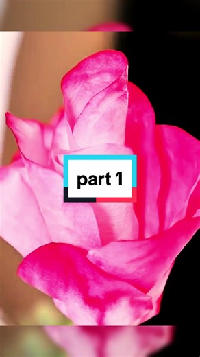 part 1 #storytime #redditstories #fyp #foryou #foryoupage #storytelling