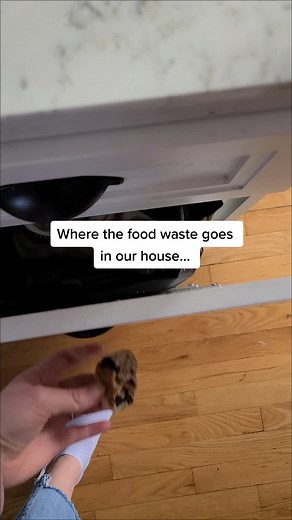 Unconventional Composting Practices at Home