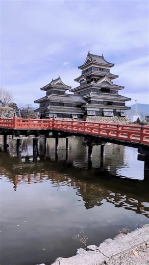 2025.11.24 際立つ漆黒「国宝 松本城」#長野県#松本城#国宝#shorts