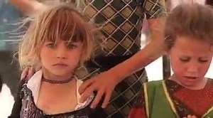 16K views · 823 reactions | Wow, watch the intensity of this little...