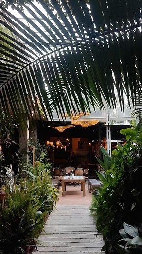 3 comments | Immerse yourself in the enchanting ambience of Moksh in Jhamsikhel. A symphony of flavors meets the soulful rhythms of tranquility. Experience dining bliss like never before. #MokshMoments #ambienceunplugged Video credit :- @zem_vlogs | Moksh | Facebook