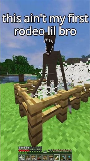 this ain't my first rodeo lil bro