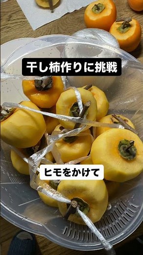 干し柿作りに挑戦‼️渋柿たくさん取れたので、「干し柿作り」に挑戦しました♪おいしくなりますように♪