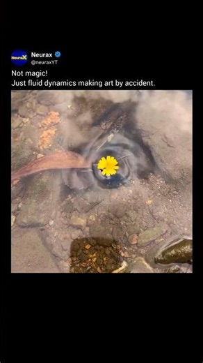 Fluid Dynamics Pretending to Be Art