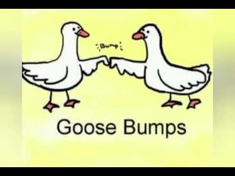 Random Meme Comp #77 #memes #funnyimages #random