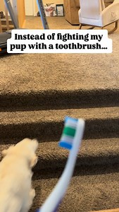 The #1 mistake people make with pet dental health… is thinking the only real solution is brushing. And yes… brushing is great. But if you’ve ever tried to brush a puppy’s teeth, you know how that goes: 😅 squirming 🤢 slobber 🏃‍♀️ chasing them around the house like a maniac But skipping dental care doesn’t just mean stinky breath. It can lead to: 🦷 plaque buildup 🦷 gum inflammation 🦷 painful dental disease 🦷 expensive cleanings (especially for seniors) So here’s what we do instead 👇 🐾 5 r