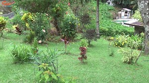 Schools are at their best when communities say yes. See how the Lowmans Windward Anglican School is benefitting from community involvement. #MondayMode #ChildFriendlySchools #TogetherLet'sBuildThem | SVG Education Media Unit