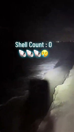 Shelling in 25 MPH Winds?! 🐚💨Only a shell-obsessed person 🧜🏻‍♀️ would battle 25 MPH wind!