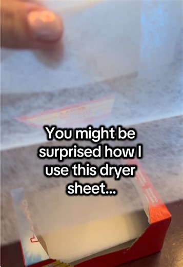 Did you know this??? Dryer sheets can repel some bugs because of the strong scent they release so if you put it in your mailbox bugs will tend to avoid it 🤯 #lifehack #momhack #mailbox #cleaningtips #randomfacts