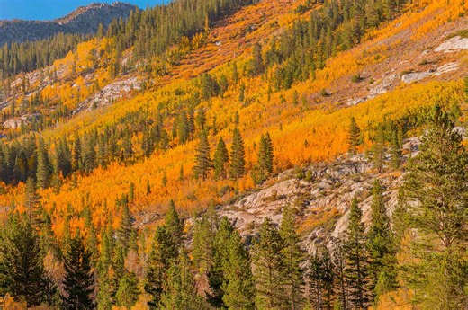 I've Visited California for 20 Years—and This Mountain Town Is the Best Place to See Fall Foliage