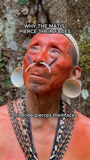 Why This Amazon Tribe Pierces Their Faces