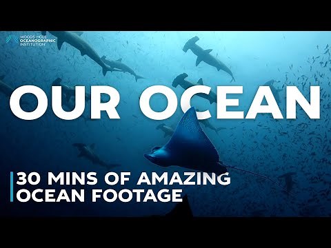 Our Ocean: amazing ocean footage